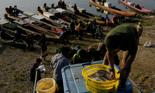 Επιστημονική απόδειξη: Αγχώδης και επώδυνος ο θάνατος των ψαριών όταν αλιεύονται