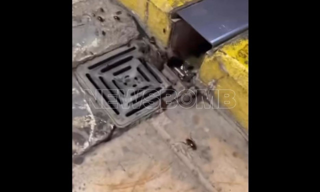 Γέμισε κατσαρίδες το αεροδρόμιο Ηρακλείου - «Γεννάνε, είναι παντού, στους τοίχους, στα πατώματα!»