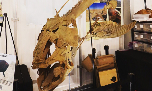 Ξεχασμένο προϊστορικό πλάσμα βρέθηκε ζωντανό: Ψάρι φάντασμα 400 εκατ ετών εκπλήσσει την επιστήμη