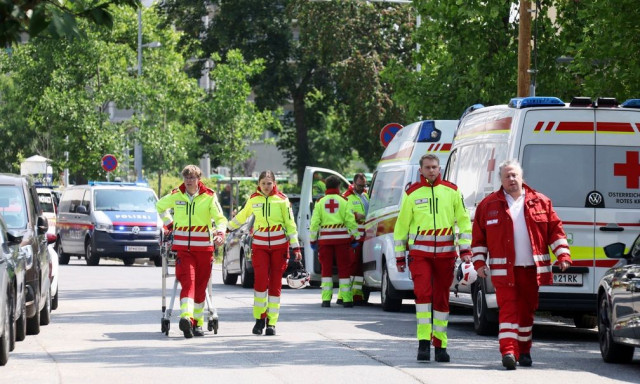 Aυστρία: Μία από τις πιο βαριά οπλισμένες χώρες στην Ευρώπη - 30 πυροβόλα ανά 100 κατοίκους