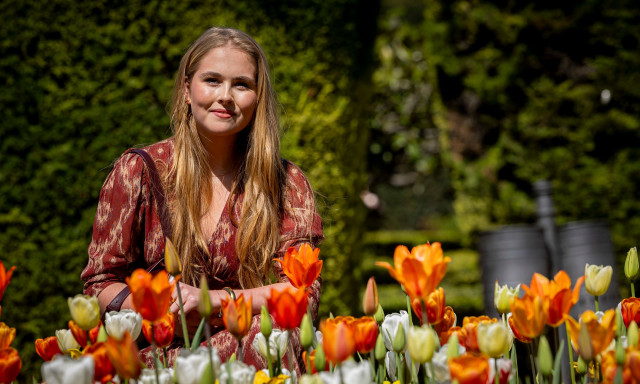 Ολλανδία: Η πριγκίπισσα Αμαλία έπεσε από άλογο και έσπασε το χέρι της
