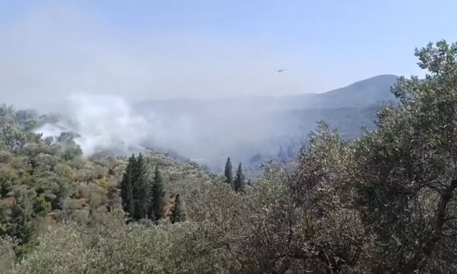 Μυτιλήνη: Υπό έλεγχο τέθηκε η φωτιά στον Παλαιόκηπο – «Πρόκειται πιθανότατα για εμπρησμό»