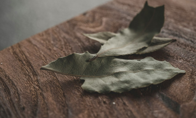 Γιατί πρέπει να βάλετε φύλλα δάφνης στα ντουλάπια και τα συρτάρια