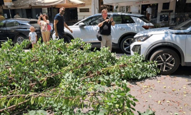 Θεσσαλονίκη: Πτώση δέντρου στη Παύλου Μελα – Υλικές ζημιές σε παρκαρισμένο όχημα