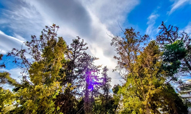 Καιρός: Η πρόβλεψη Μαρουσάκη για μελτέμια - Πού θα βρέξει σήμερα