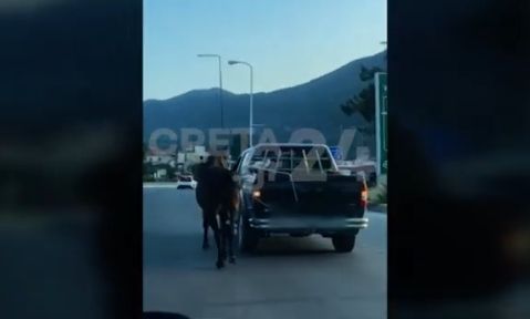 Hράκλειο: Οδηγός έδεσε άλογο και το έσερνε με αγροτικό - Σοκαριστικό βίντεο