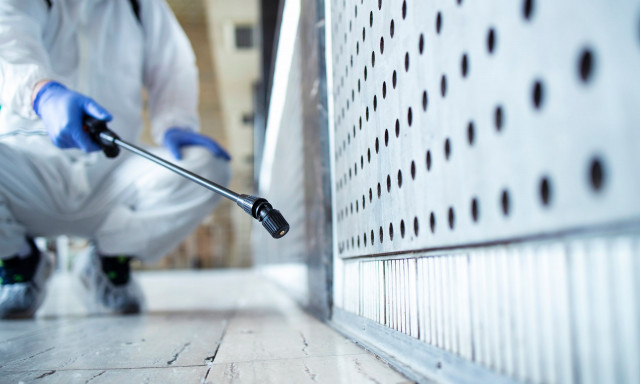 Κατσαρίδες και μυρμήγκια - Σε αυτά τα τρόφιμα έχουν «αλλεργία»