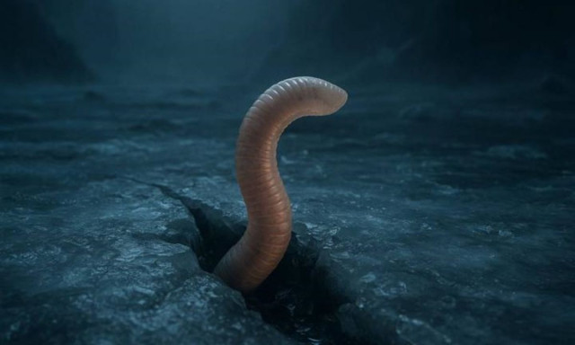 Ένα προϊστορικό σκουλήκι 46.000 ετών ανθεκτικό σε ακραία περιβάλλοντα ξαναζωντανεύει