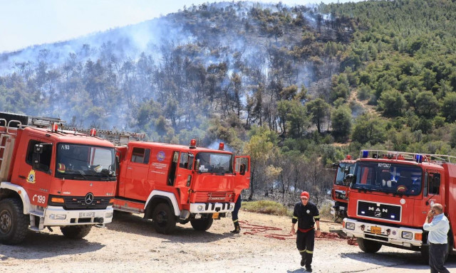 Υπό έλεγχο η φωτιά στην Αγία Μαρίνα Αττικής: Δεν εκκενώθηκε το θέρετρο του Πολεμικού Ναυτικού