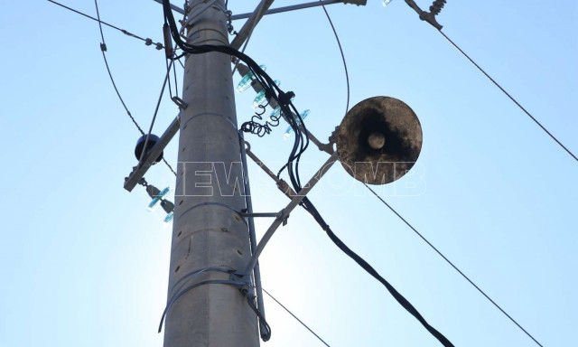 Μαραθώνας: Κι όμως η φωτιά ξεκίνησε από... καρακάξα - Δείτε βίντεο ντοκουμέντο