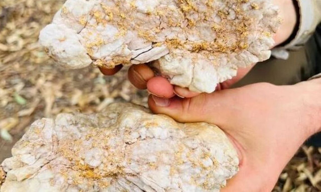 Η πέτρα που νόμιζε για χρόνια ψήγμα χρυσού, αποδείχθηκε κάτι πιο πολύτιμο