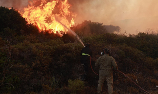 Πυροσβεστική: 50 πυρκαγιές σημειώθηκαν το τελευταίο 24ωρο - 39 αντιμετωπίστηκαν άμεσα
