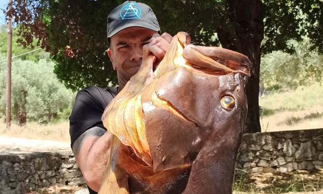 Βόλος: «Ψαριά για Όσκαρ» από ψαροντουφεκά – Έβγαλε από την θάλασσα ροφό 27 κιλών