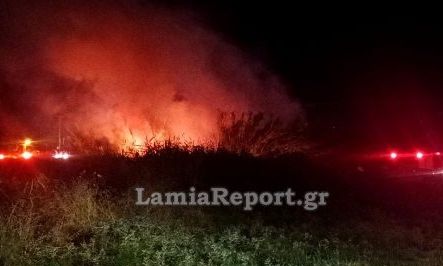 Λαμία: Φωτιά κοντά σε σπίτια κατά την διάρκεια της νύχτας