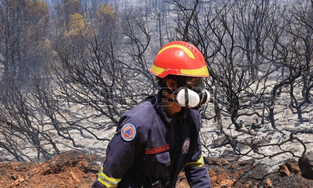 Πυροσβεστική: 42 αγροτοδασικές πυρκαγιές σημειώθηκαν το τελευταίο 24ωρο