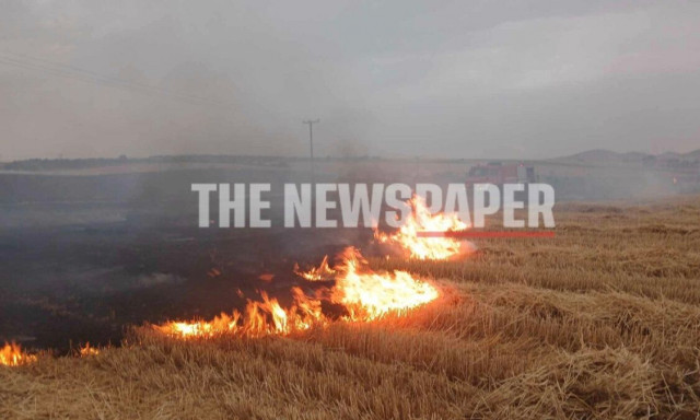 Τριπλό μέτωπο φωτιάς στη Μαγνησία: Συναγερμός σε Ν. Αγχίαλο, Αλμυρό και Αερινό