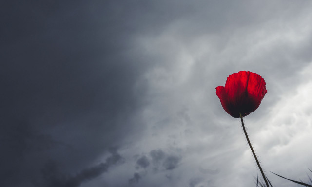 Καιρός: «Άντε να δούμε πότε θα ξαναβρέξει» - Η πρόβλεψη Ζιακόπουλου