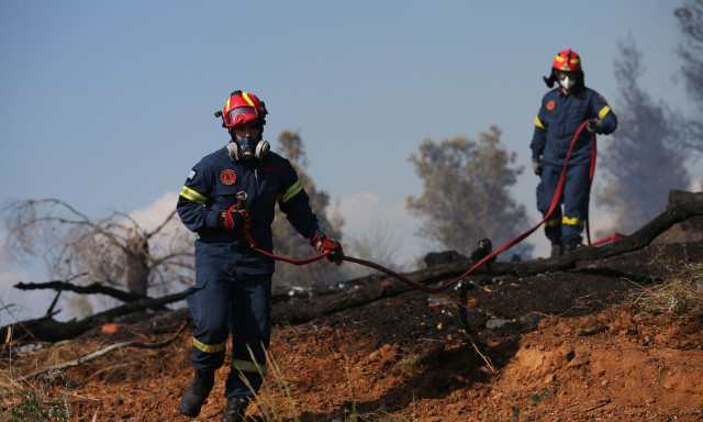 Σε ύφεση η φωτιά στην Ευκαρπία Θεσσαλονίκης