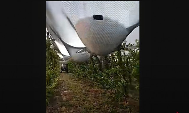 Ολοκληρωτική καταστροφή σε καλλιέργειες από την σφοδρή χαλαζόπτωση σε χωριά του Έβρου