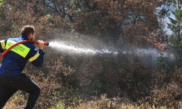 Φωτιά σε περιοχή με χαμηλή βλάστηση στη Θήβα - Επιχειρούν εναέρια μέσα