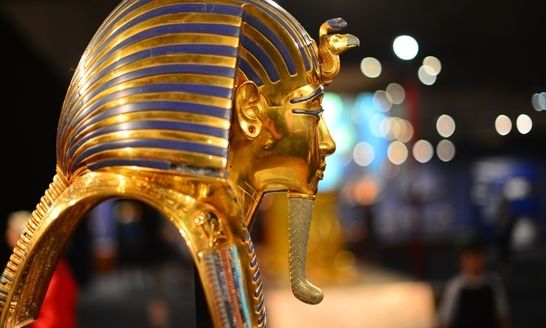 Tοξικός μύκητας πίσω από την «κατάρα» του τάφου του Τουταγχαμών μπορεί να καταπολεμήσει τον καρκίνo