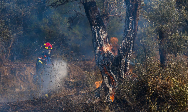 Η Χίος καίγεται κάθε χρόνο…