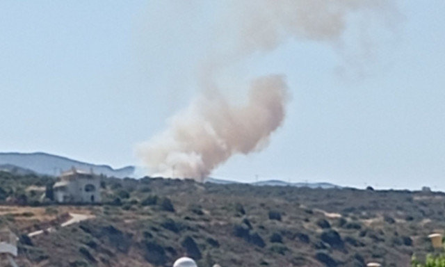 Φωτιά στη Λακωνία