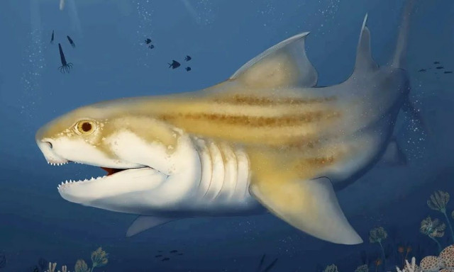 Δύο θαλάσσια τέρατα από εκατομμύρια χρόνια πριν ανακαλύφθηκαν στον πυθμένα μιας σπηλιάς