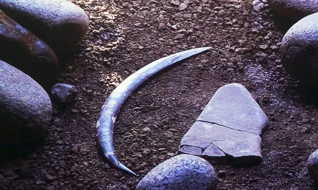 Βρέθηκε το αρχαιότερο μπούμερανγκ στον κόσμο και δεν μπορεί να επιστρέφει πίσω