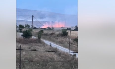 Φωτιά σε χορτολιβαδική έκταση στον Δρυμό Θεσσαλονίκης