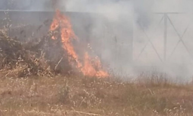 Φωτιά τώρα στην περιοχή Πεντεόρια Φωκίδας