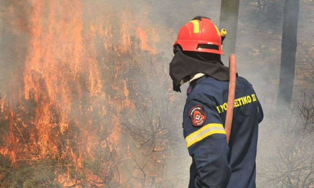 Πυροσβεστική: Πολλές διάσπαρτες εστίες στην Ιεράπετρα, χωρίς ενεργό μέτωπο η Βουρβουρού Χαλκιδικής