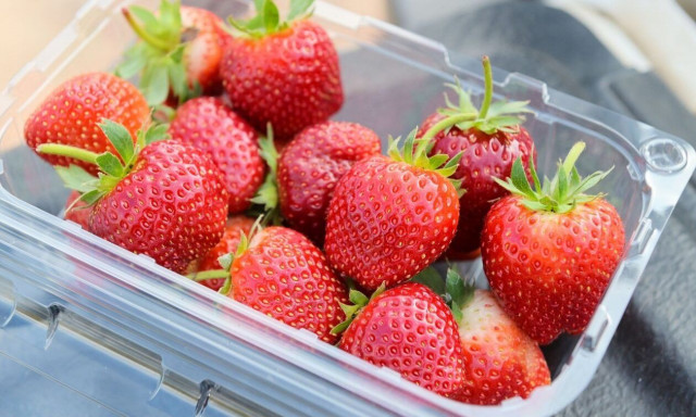 Τι θα συμβεί στο σώμα σας αν τρώτε κάθε μέρα φράουλες - Τα οφέλη του απόλυτου καλοκαιρινού φρούτου