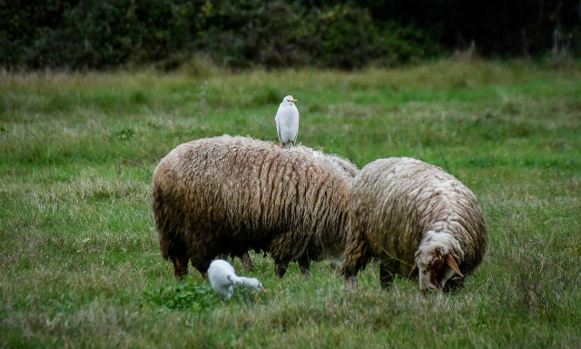 ΟΠΕΚΕΠΕ: Νέοι διάλογοι που «καίνε» - «Έχω παράπονα από τη ΝΔ - Ποτέ στη ζωή μας ένα ρουσφετάκι»