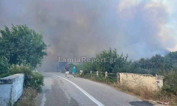 Μεγάλη φωτιά στην Φθιώτιδα: Ήχησε το 112 στη Στυλίδα - «Παραμείνετε σε ετοιμότητα»