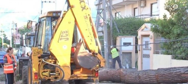Έπεσε δέντρο σε αυτοκίνητο στην Κηφισιά - Προβλήματα στην ηλεκτροδότηση