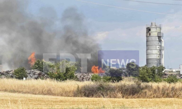 Σέρρες: Φωτιά σε εργοστάσιο ξυλείας στο Νέο Σούλι