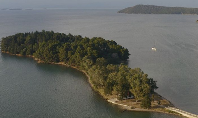 Αποκαθιστώντας τα θαλάσσια λιβάδια zostera: Η συνεργασία Nestlé Ελλάς και Εναλεία