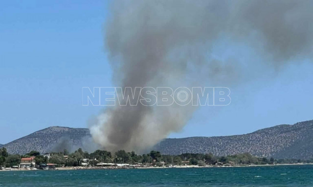 Μεγάλη φωτιά τώρα στον Μαραθώνα - Ήχησε το 112