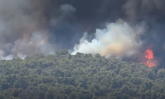 Σε δύσβατο σημείο η μεγάλη φωτιά στη Χαλκιδική: Ενισχύθηκαν οι δυνάμεις στη Βουρβουρού