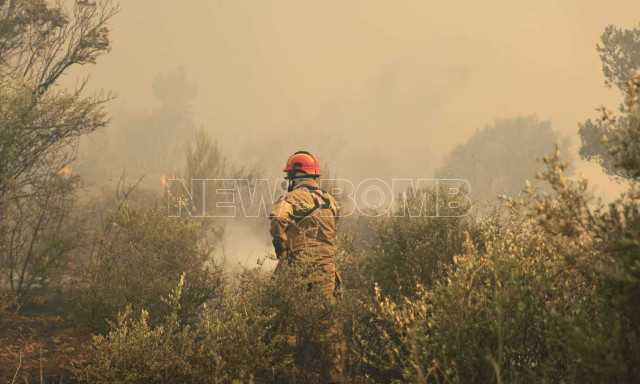 Φωτιά στην Ραφήνα: Επιστρέφει στο Μαρμάρι το Evia Star - Ισχυροί άνεμοι στην περιοχή