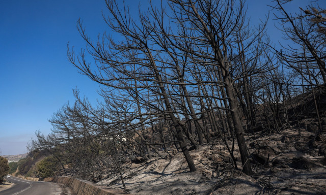 Φωτιά Ιεράπετρα - Πολλές διάσπαρτες εστίες: Αποκαρδιωτικές εικόνες καταστροφής