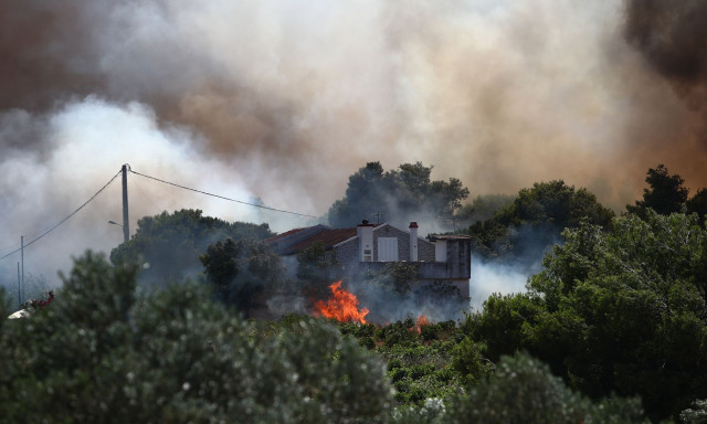 Φωτιά στη Ραφήνα: Τουλάχιστον 10 σπίτια παραδόθηκαν στις φλόγες - Τιτάνια η μάχη της Πυροσβεστικής