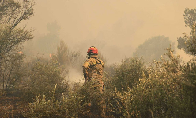 Φωτιά τώρα: Οριοθετήθηκε η πυρκαγιά στο Αγριλόβουνο Οιχαλίας στη Μεσσηνία