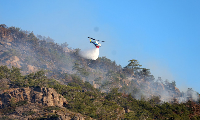 Πυροσβεστική: 40 αγροτοδασικές πυρκαγιές σημειώθηκαν το τελευταίο 24ωρο σε όλη την χώρα