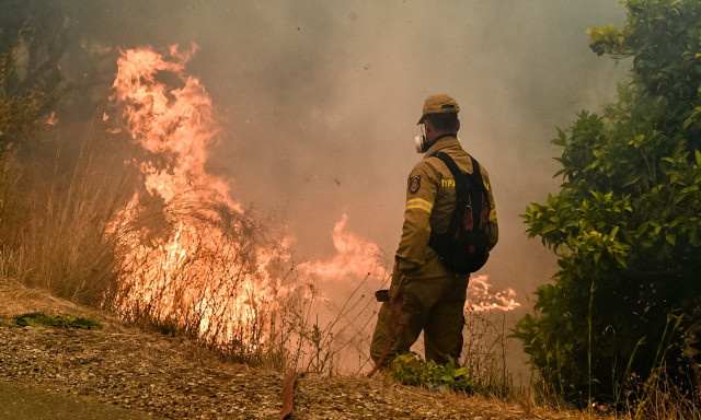 Φωτιά τώρα στο Νεοχώρι Μεσσηνίας