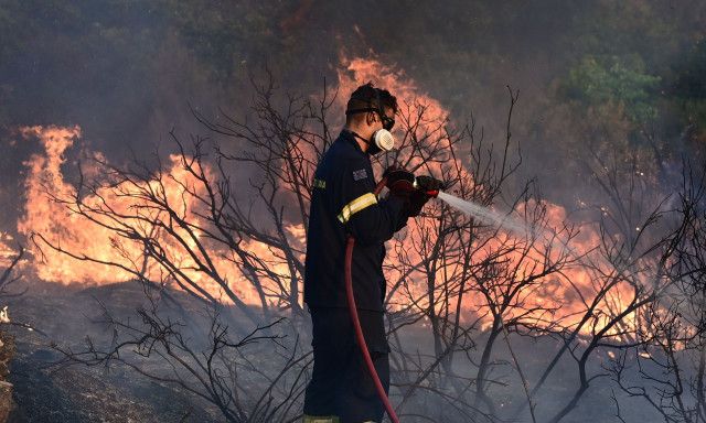 Φωτιά στα Κύθηρα: Υπό μερικό έλεγχο τέθηκε η πυρκαγιά στο Δρυμώνα