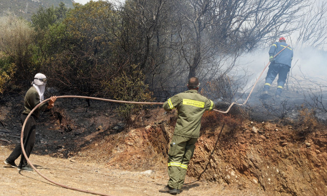 Φωτιά στην Εύβοια: Συνελήφθη αλλοδαπός για την φωτιά στην Κάρυστο - Φόβοι για αναζωπυρώσεις