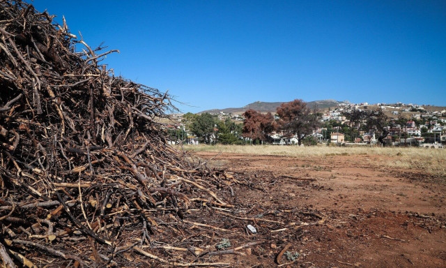 Καταγγελίες για ακαθάριστα οικόπεδα: 3.748 αναφορές, 72 παραβάσεις και πρόστιμα