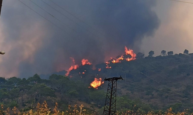 Μαίνονται για τρίτη μέρα οι μεγάλες δασικές πυρκαγιές στη Συρία – Η Τουρκία στέλνει βοήθεια